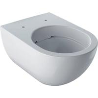 Geberit Acanto vghngt Rimfree WC-skl Geberit
